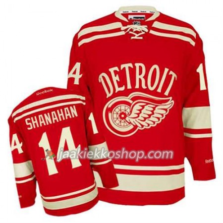 Reebok Miehille NHL Detroit Red Wings Pelipaita Brendan Shanahan #14 2014 Winter Classic Punainen