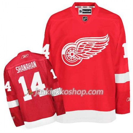 Reebok Miehille NHL Detroit Red Wings Pelipaita Brendan Shanahan #14 Koti Punainen