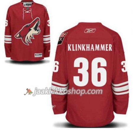Reebok Miehille NHL Phoenix Coyotes Rob Klinkhammer 36 Burgundy Punainen Koti