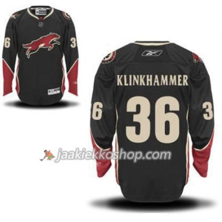 Reebok Miehille NHL Phoenix Coyotes Rob Klinkhammer 36 Musta Kolmas